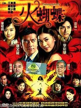 火蝴蝶2008 第19集