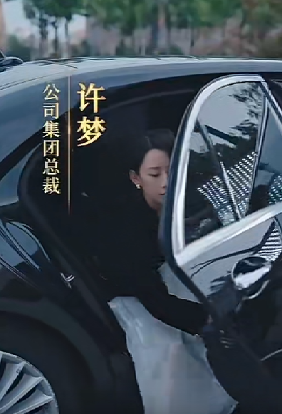 女老板的复仇 第09集