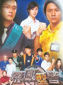暴风刑警国语 第30集(大结局)