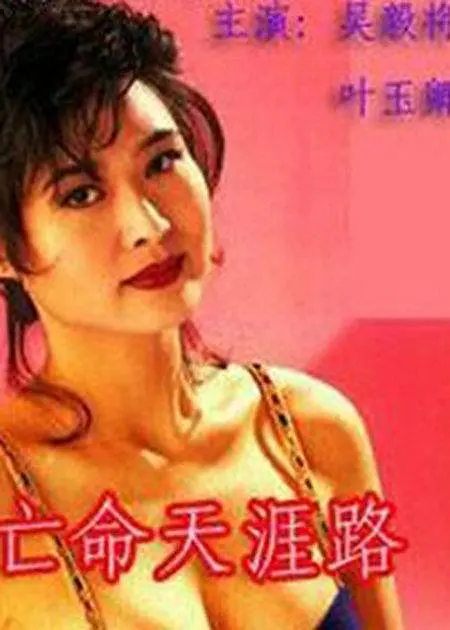 亡命天涯路国语 第15集