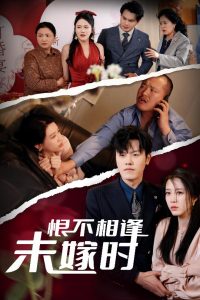 恨不相逢未嫁时30集 全集(大结局)