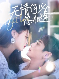 无情何必怨相逢 全集(大结局)