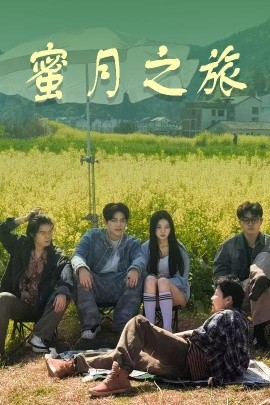 蜜月之旅 全集(大结局)