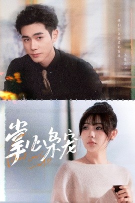 掌心枭宠 全集(大结局)