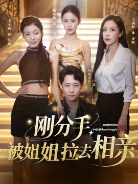 刚分手，被姐姐拉去相亲 全集(大结局)