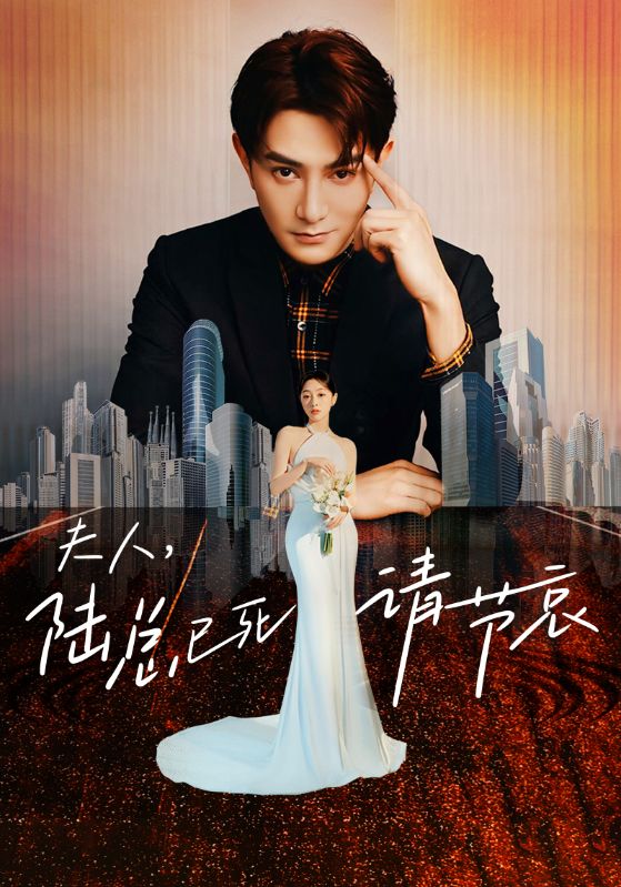 夫人，陆总已死请节哀 第29集