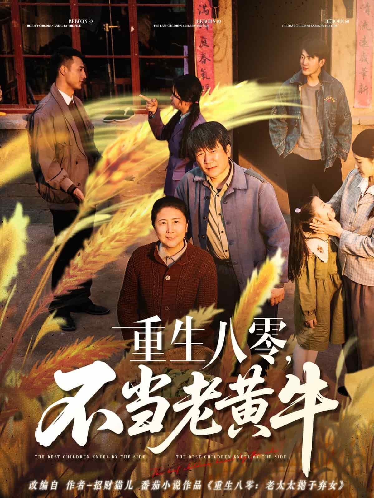 重生八零，不当老黄牛 第47集