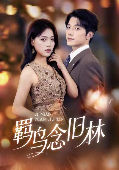 羁鸟念旧林 第02集