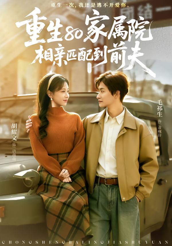 重生80家属院，相亲匹配到前夫(全集)