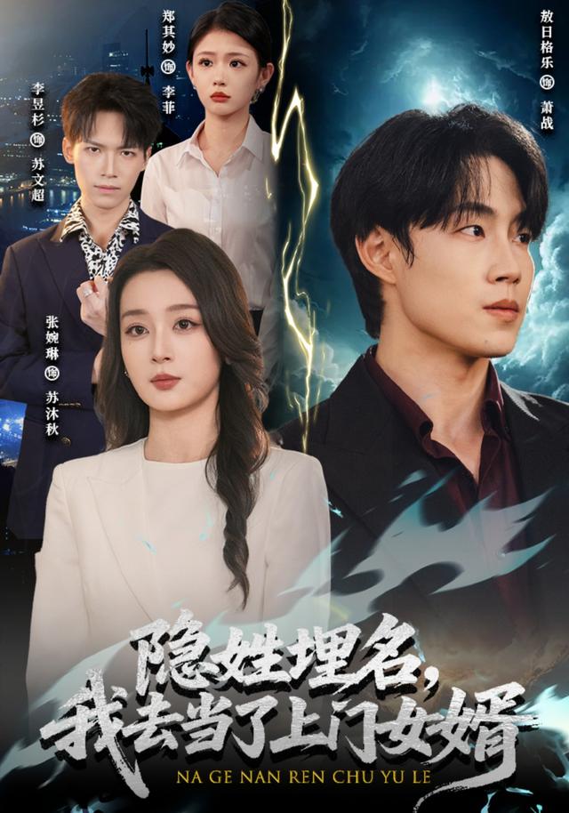 隐姓埋名，我去当了上门女婿(全集)
