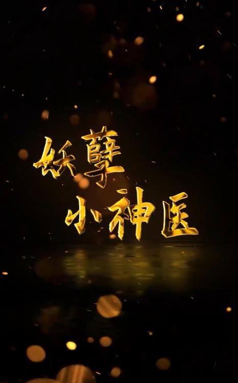 回村小伙是侠医 第45集