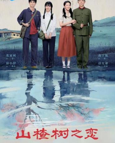 山楂树之恋2025