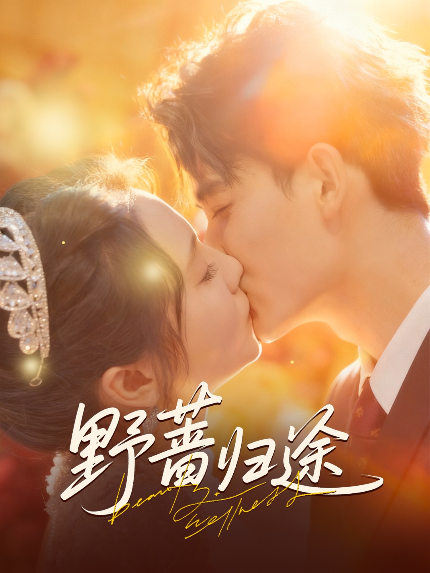 野蔷归途 全集(大结局)