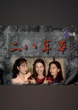 二八年华 第41集